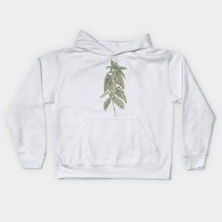 Nettle Kids Hoodie